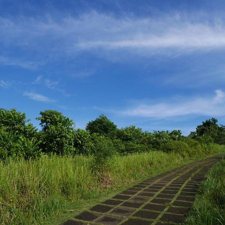 Sari Villa Ubud Exteriör bild